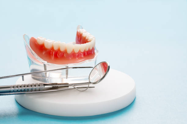 Best Preventive Dentistry  in Harmony, RI